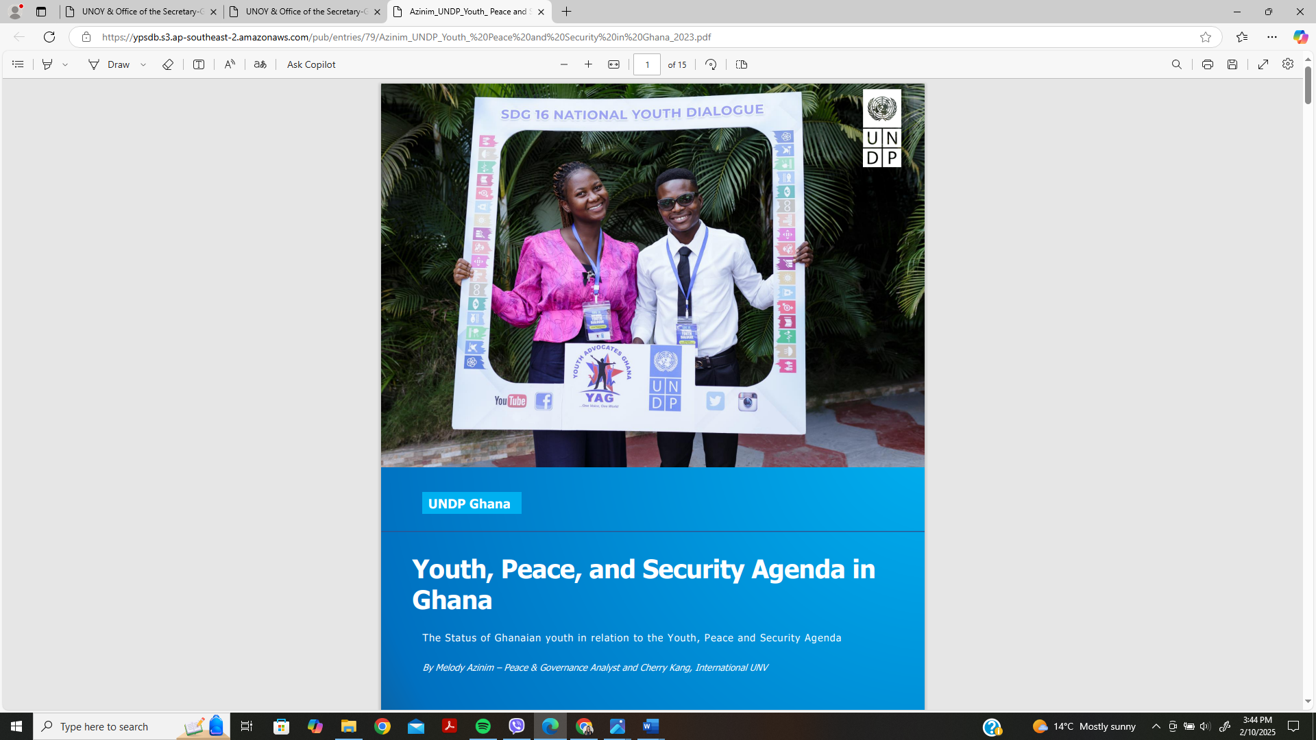 Youth, Peace, and Security Agenda in Ghana – The Status of Ghanaian youth in relation to the Youth, Peace and Security Agenda